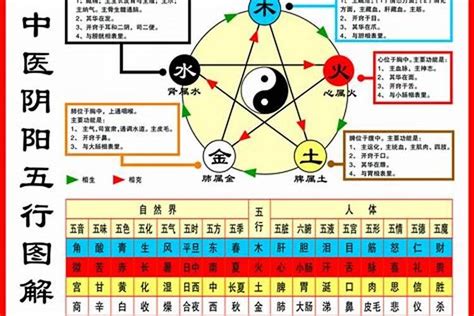 自己五行屬性|【怎麼看自己的屬性】怎麼準確預測自己的屬性？一次搞懂五行體。